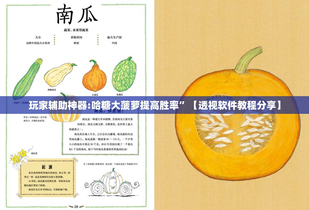 玩家辅助神器:哈糖大菠萝提高胜率”【透视软件教程分享】