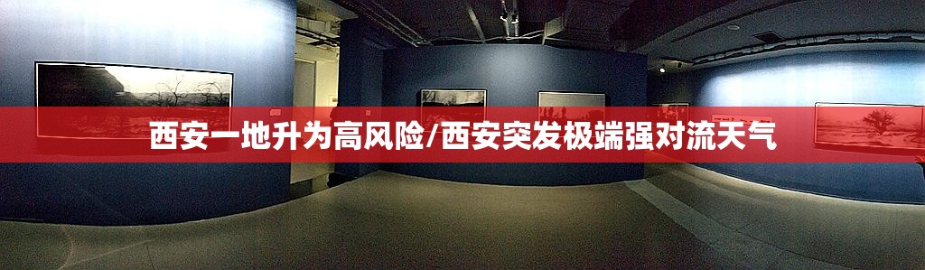 西安一地升为高风险/西安突发极端强对流天气