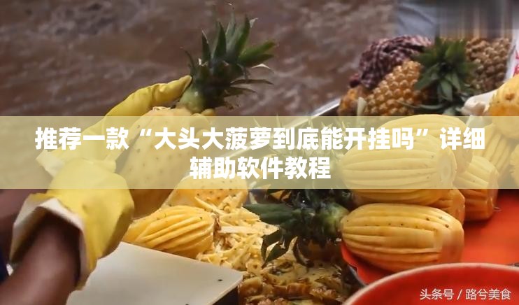 推荐一款“大头大菠萝到底能开挂吗	”详细辅助软件教程