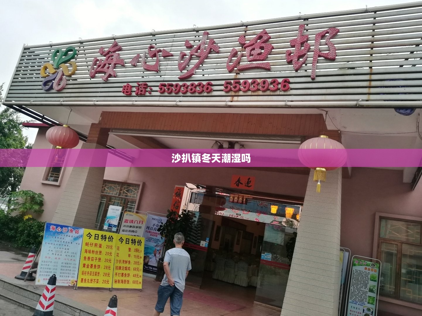 沙扒镇冬天潮湿吗 沙扒镇冬天潮湿吗