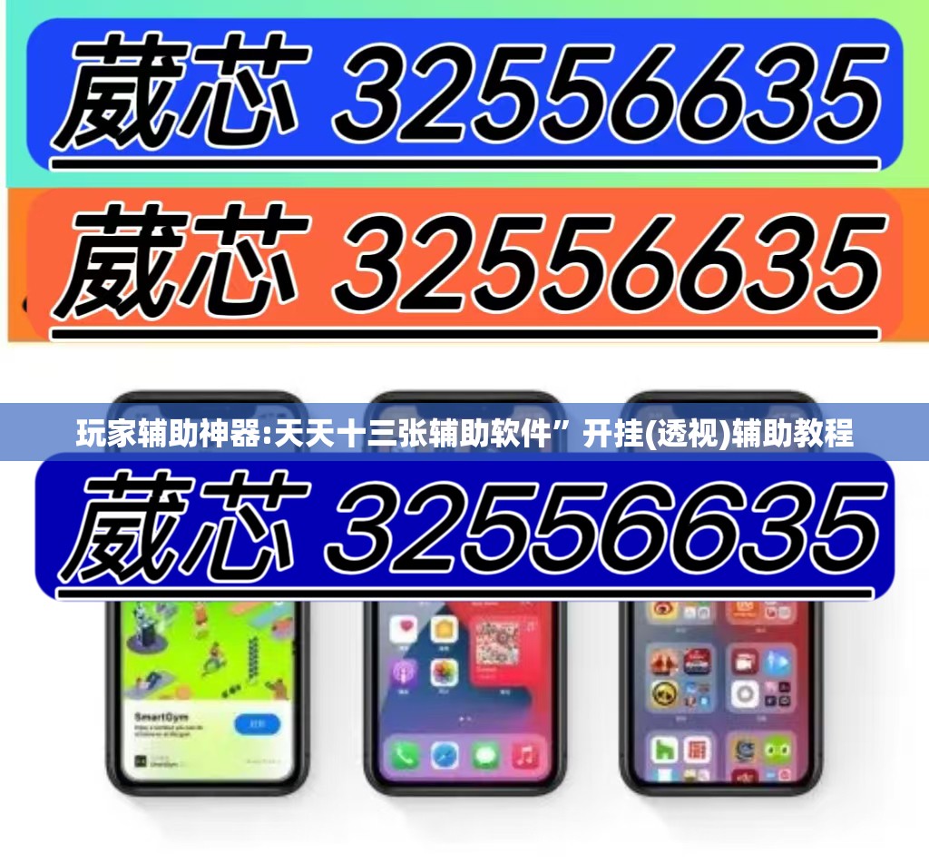 玩家辅助神器:天天十三张辅助软件”开挂(透视)辅助教程