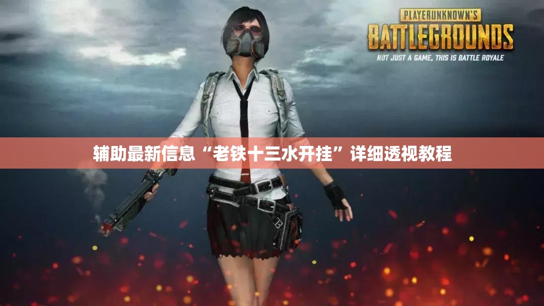 辅助最新信息“老铁十三水开挂”详细透视教程
