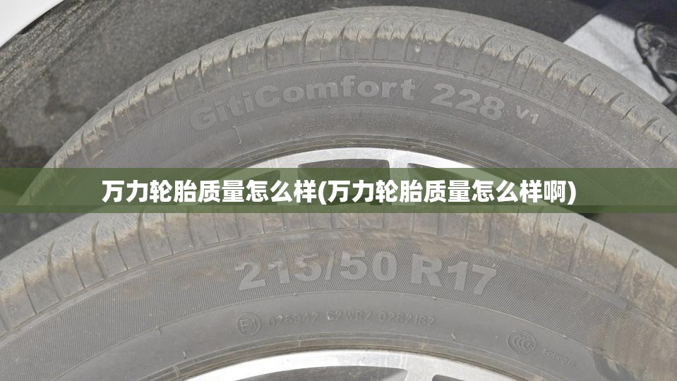 万力轮胎质量怎么样(万力轮胎质量怎么样啊) 万力轮胎质量怎么样(万力轮胎质量怎么样啊)