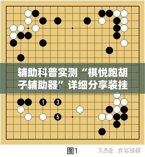 辅助科普实测“棋悦跑胡子辅助器	”详细分享装挂步骤