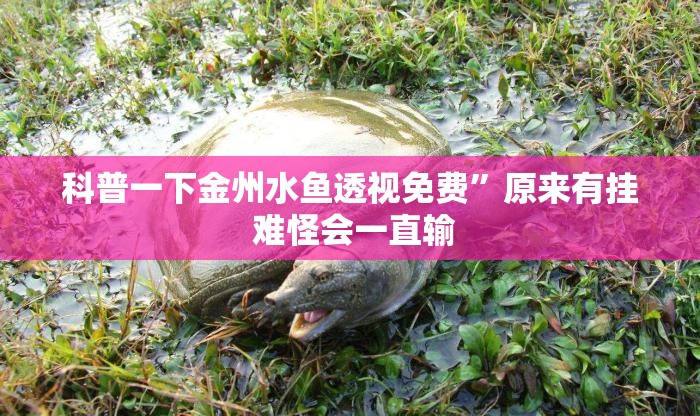 科普一下金州水鱼透视免费”原来有挂 难怪会一直输