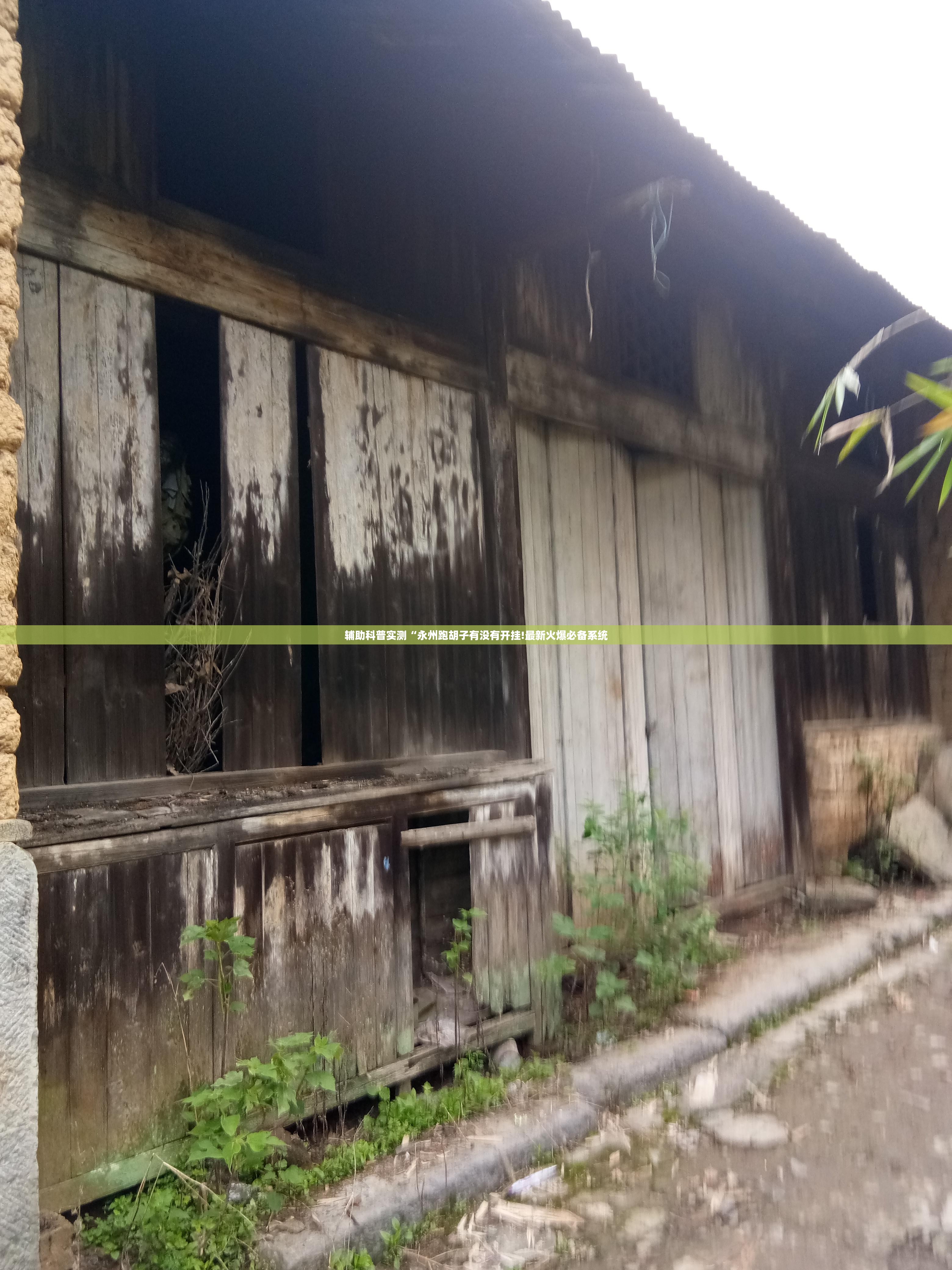 辅助科普实测“永州跑胡子有没有开挂!最新火爆必备系统