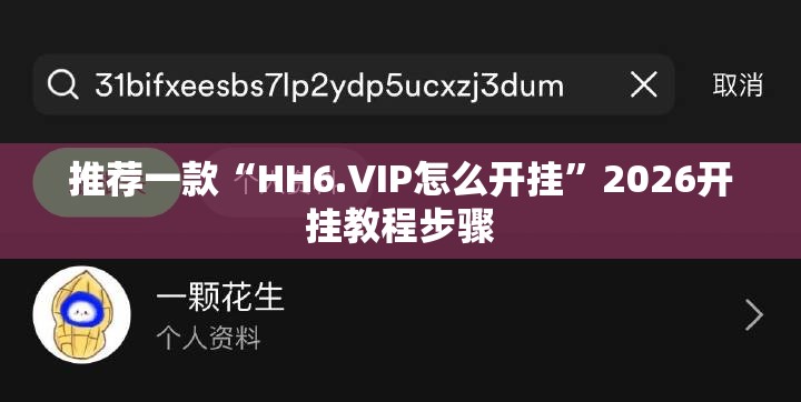 推荐一款“HH6.VIP怎么开挂”2026开挂教程步骤