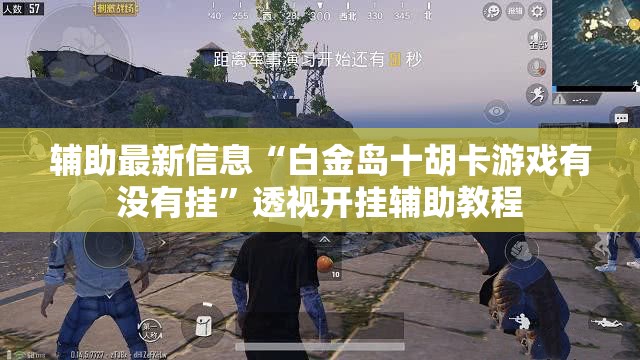 辅助最新信息“白金岛十胡卡游戏有没有挂”透视开挂辅助教程