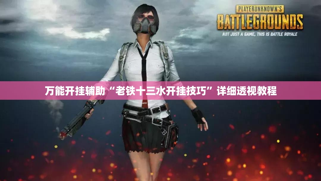 万能开挂辅助“老铁十三水开挂技巧”详细透视教程