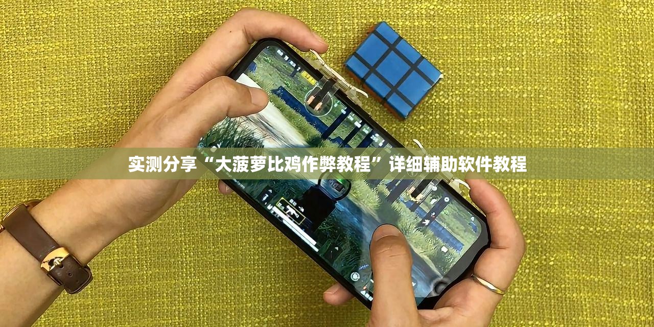 实测分享“大菠萝比鸡作弊教程	”详细辅助软件教程