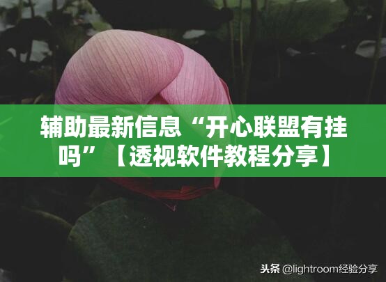 辅助最新信息“开心联盟有挂吗”【透视软件教程分享】
