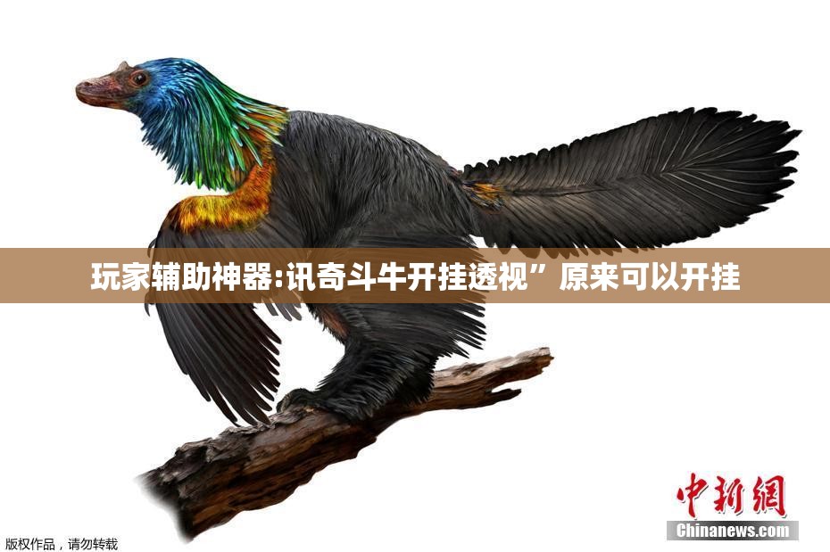 玩家辅助神器:讯奇斗牛开挂透视”原来可以开挂