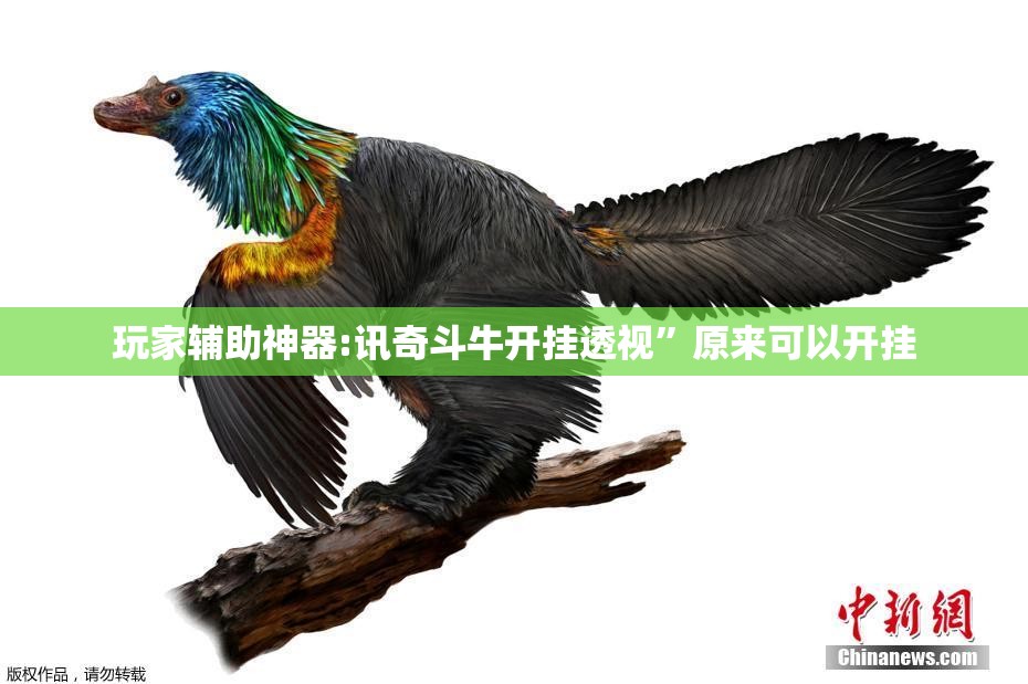 玩家辅助神器:讯奇斗牛开挂透视	”原来可以开挂