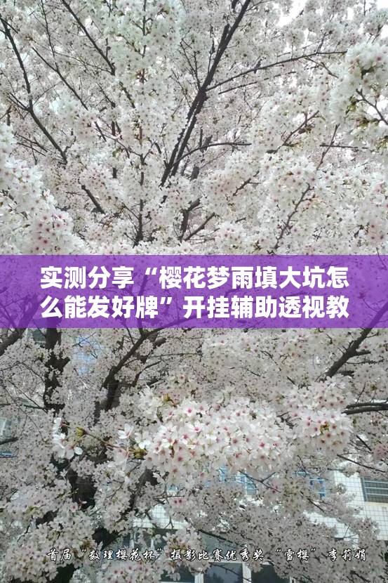实测分享“樱花梦雨填大坑怎么能发好牌	”开挂辅助透视教程
