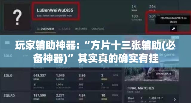 玩家辅助神器:“方片十三张辅助(必备神器)	”其实真的确实有挂