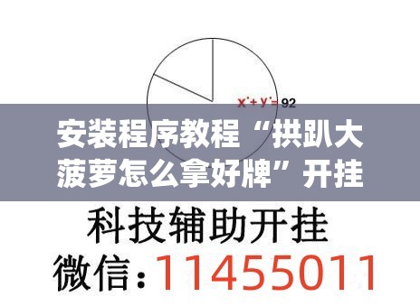 安装程序教程“拱趴大菠萝怎么拿好牌”开挂(透视)辅助教程