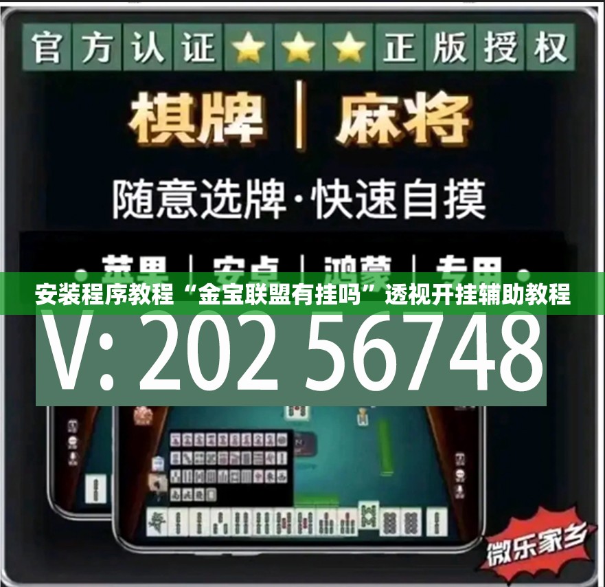 安装程序教程“金宝联盟有挂吗	”透视开挂辅助教程