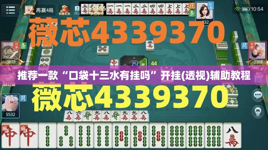 推荐一款“口袋十三水有挂吗”开挂(透视)辅助教程
