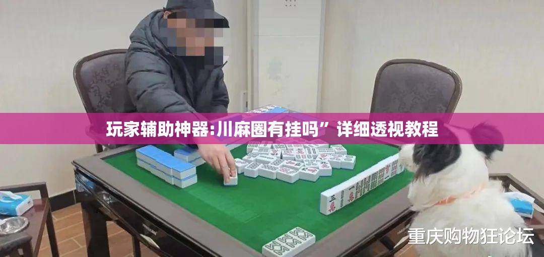 玩家辅助神器:川麻圈有挂吗”详细透视教程
