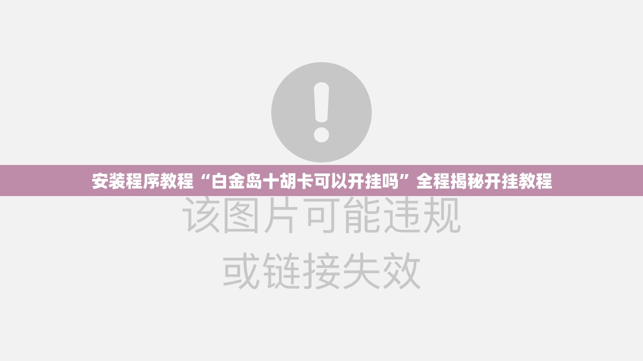 安装程序教程“白金岛十胡卡可以开挂吗”全程揭秘开挂教程