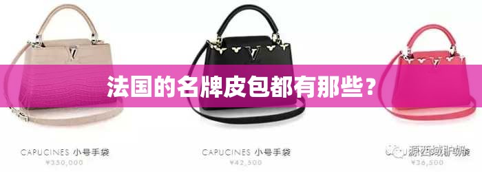 法国的名牌皮包都有那些? 法国的名牌皮包都有那些?