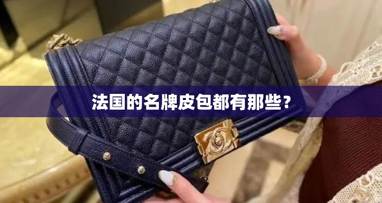 法国的名牌皮包都有那些? 法国的名牌皮包都有那些?