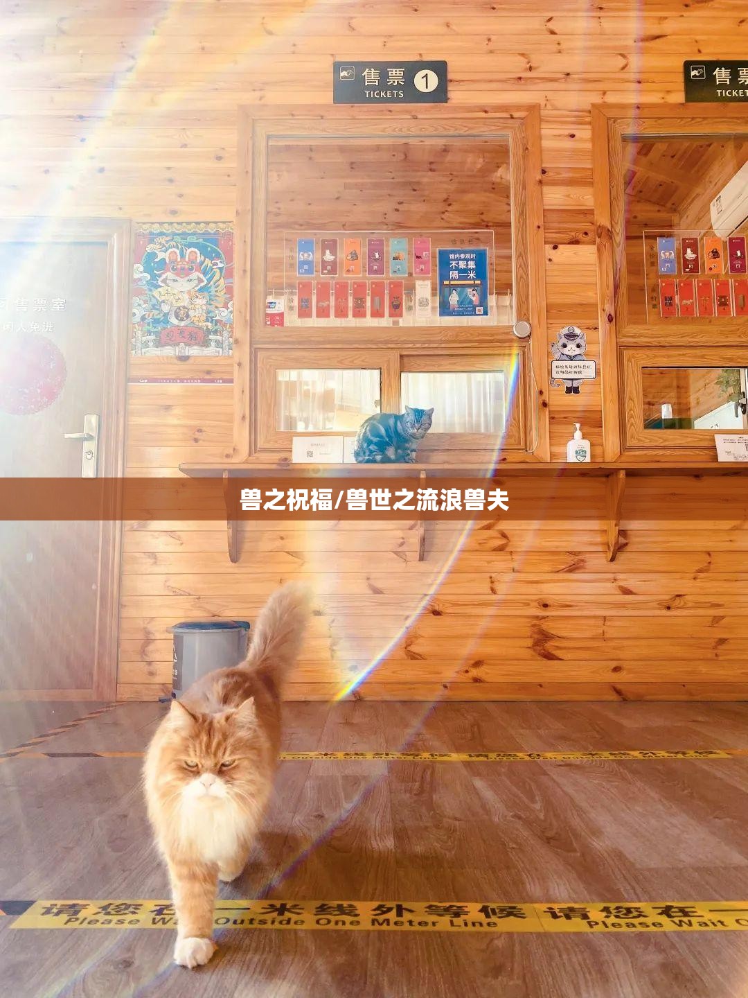 兽之祝福/兽世之流浪兽夫 兽之祝福/兽世之流浪兽夫