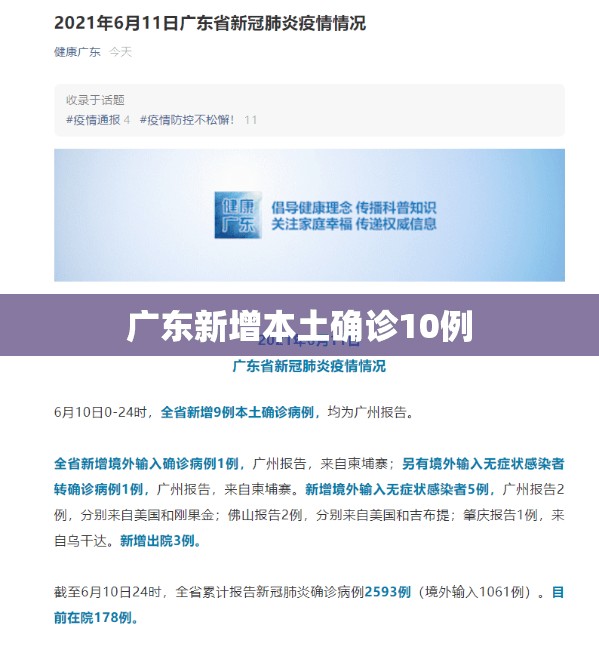 广东新增本土确诊10例(广东确认新增)
