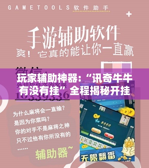 玩家辅助神器:“讯奇牛牛有没有挂”全程揭秘开挂教程