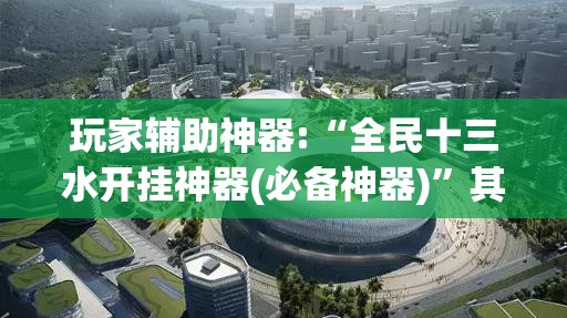 玩家辅助神器:“全民十三水开挂神器(必备神器)”其实真的确实有挂