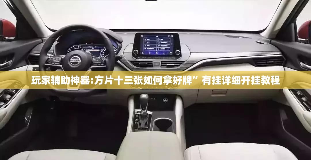 玩家辅助神器:方片十三张如何拿好牌”有挂详细开挂教程