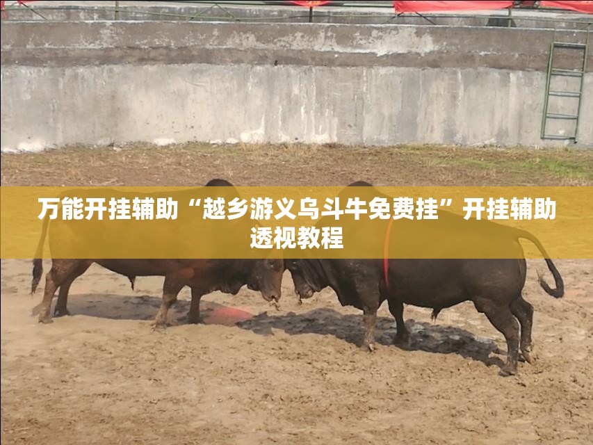 万能开挂辅助“越乡游义乌斗牛免费挂	”开挂辅助透视教程