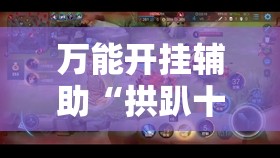 万能开挂辅助“拱趴十三水可以开挂吗”详细透视教程