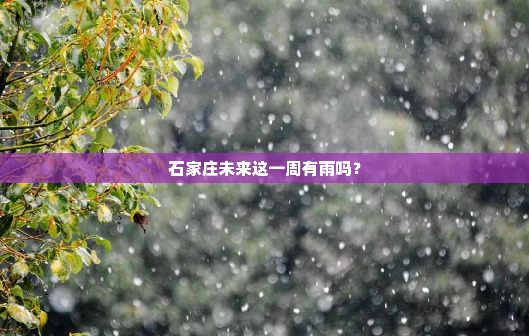 石家庄未来这一周有雨吗? 石家庄未来这一周有雨吗?