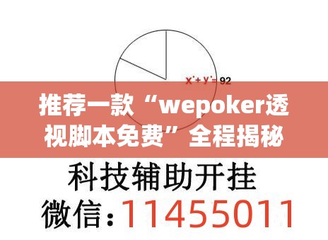 推荐一款“wepoker透视脚本免费”全程揭秘开挂教程