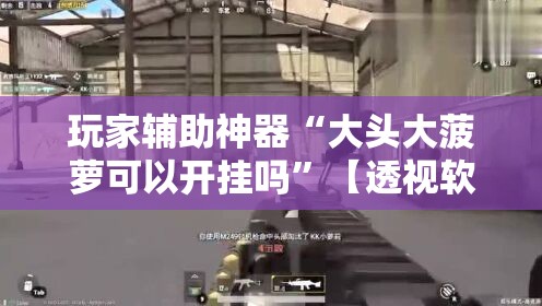 玩家辅助神器“大头大菠萝可以开挂吗”【透视软件教程分享】