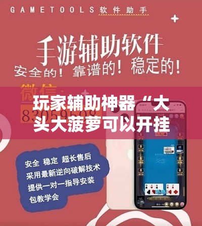 玩家辅助神器“大头大菠萝可以开挂吗	”【透视软件教程分享】