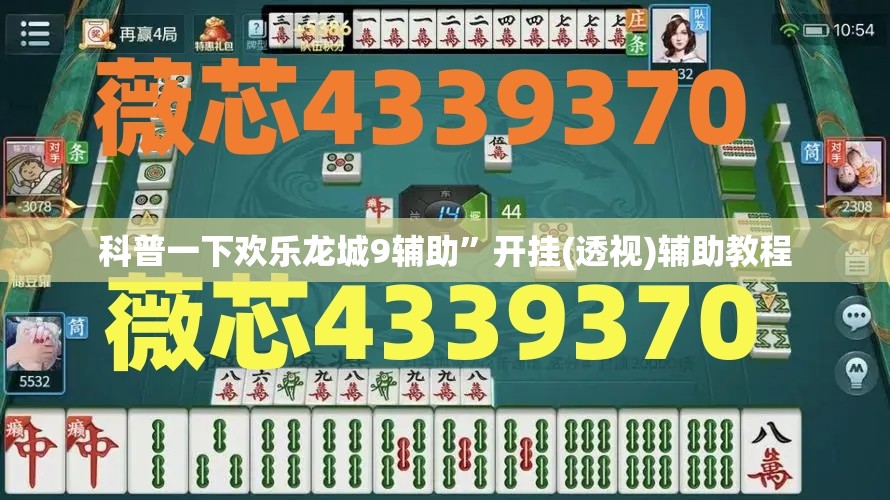 科普一下欢乐龙城9辅助	”开挂(透视)辅助教程