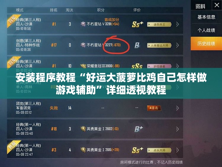 安装程序教程“好运大菠萝比鸡自己怎样做游戏辅助	”详细透视教程
