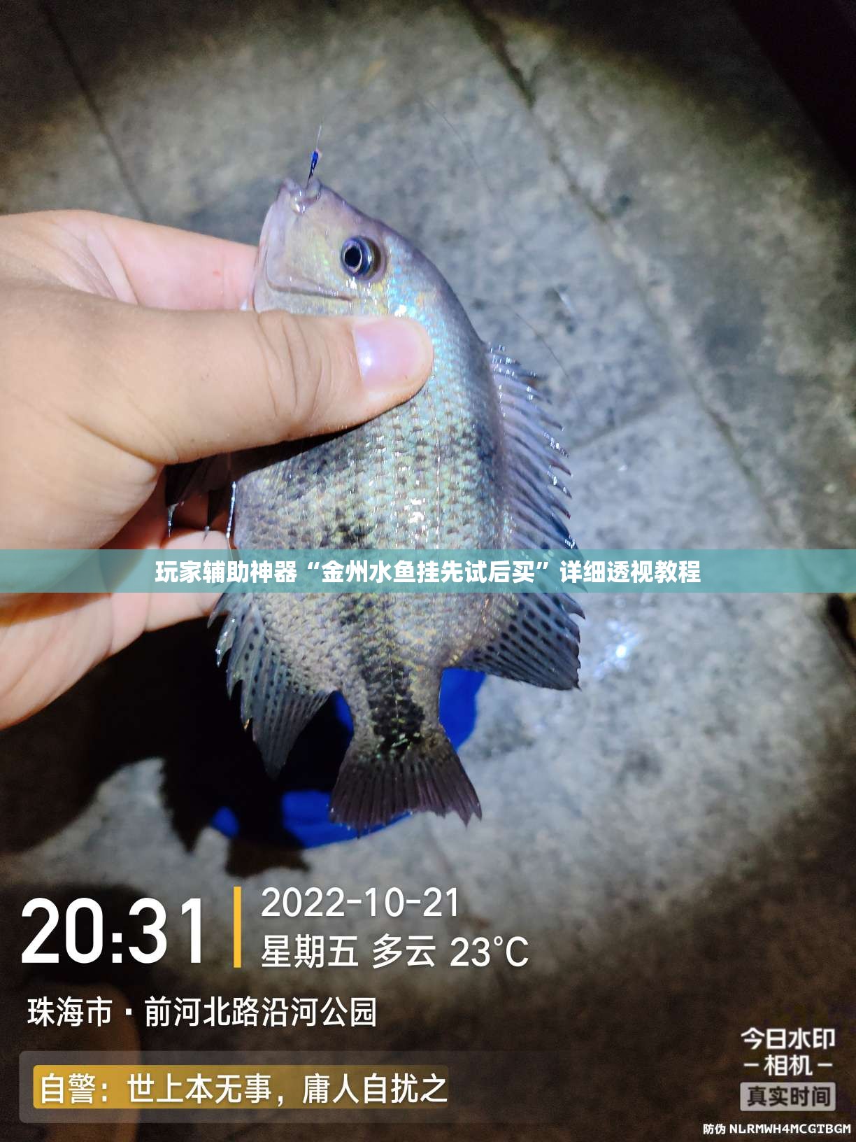 玩家辅助神器“金州水鱼挂先试后买	”详细透视教程