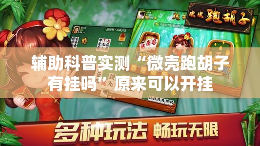 辅助科普实测“微壳跑胡子有挂吗	”原来可以开挂