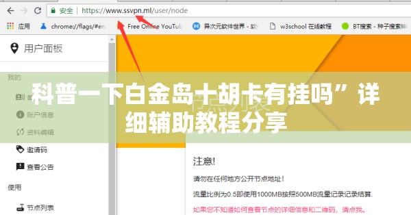 科普一下白金岛十胡卡有挂吗”详细辅助教程分享
