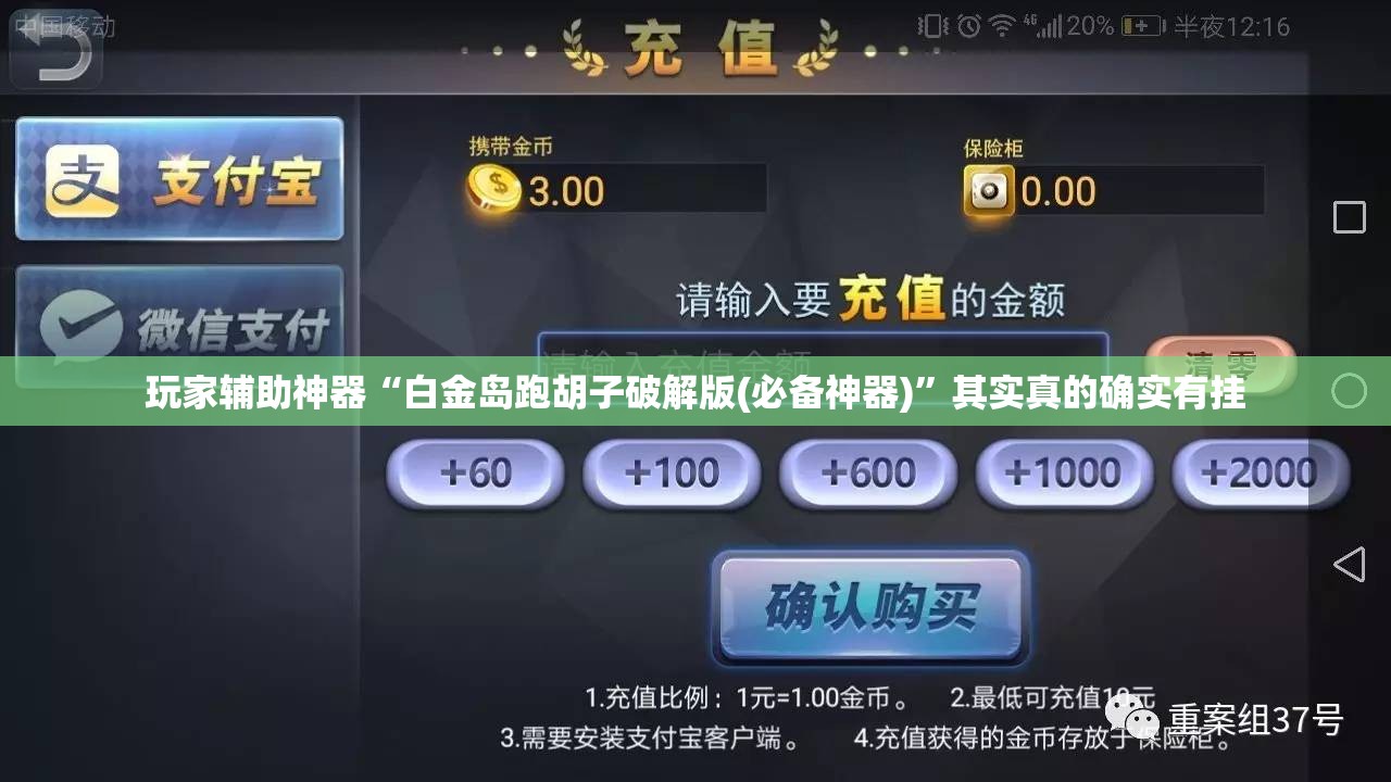 玩家辅助神器“白金岛跑胡子破解版(必备神器)”其实真的确实有挂