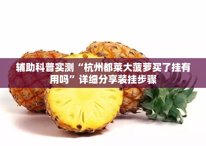 辅助科普实测“杭州都莱大菠萝买了挂有用吗	”详细分享装挂步骤