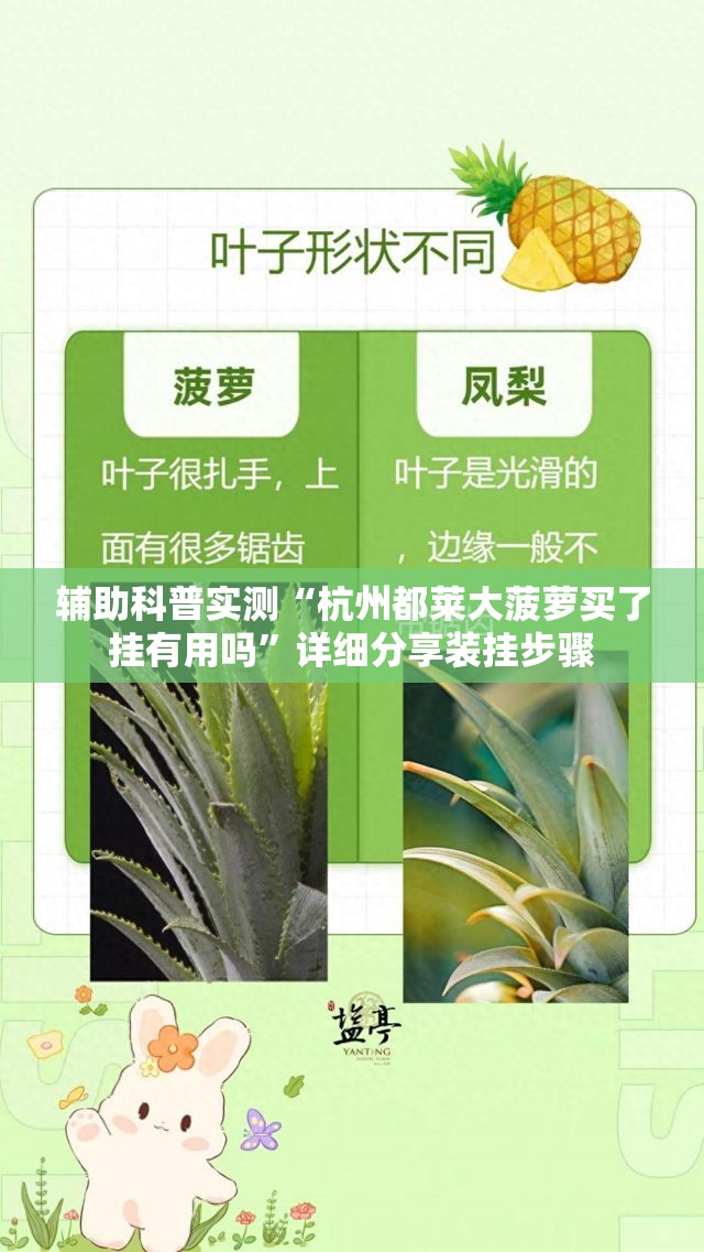 辅助科普实测“杭州都莱大菠萝买了挂有用吗”详细分享装挂步骤