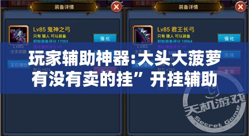 玩家辅助神器:大头大菠萝有没有卖的挂	”开挂辅助透视教程