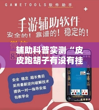 辅助科普实测“皮皮跑胡子有没有挂”开挂辅助透视教程