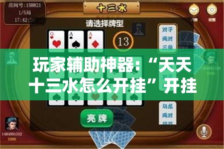 玩家辅助神器:“天天十三水怎么开挂”开挂辅助透视教程