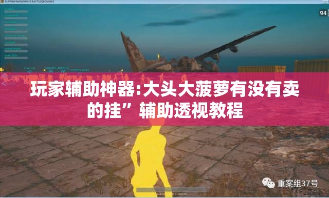 玩家辅助神器:大头大菠萝有没有卖的挂”辅助透视教程