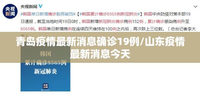 青岛疫情最新消息确诊19例/山东疫情最新消息今天 青岛疫情最新消息确诊19例/山东疫情最新消息今天